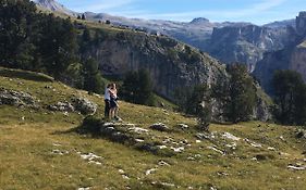 Arya Alpine Lodge